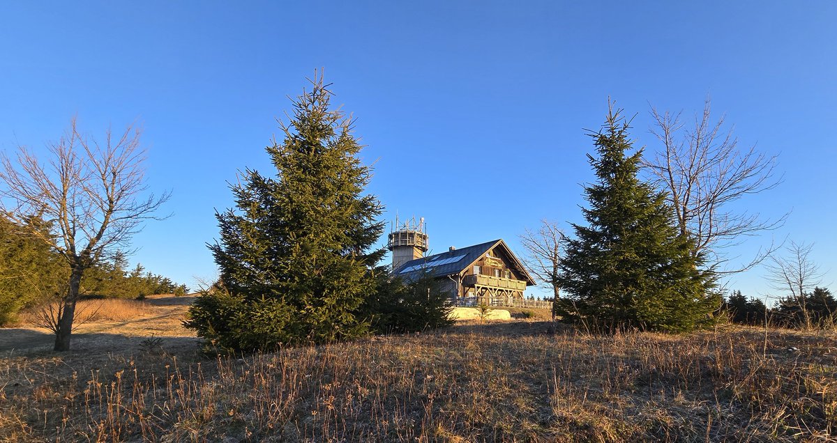 Ormuz 🕊 tweet media