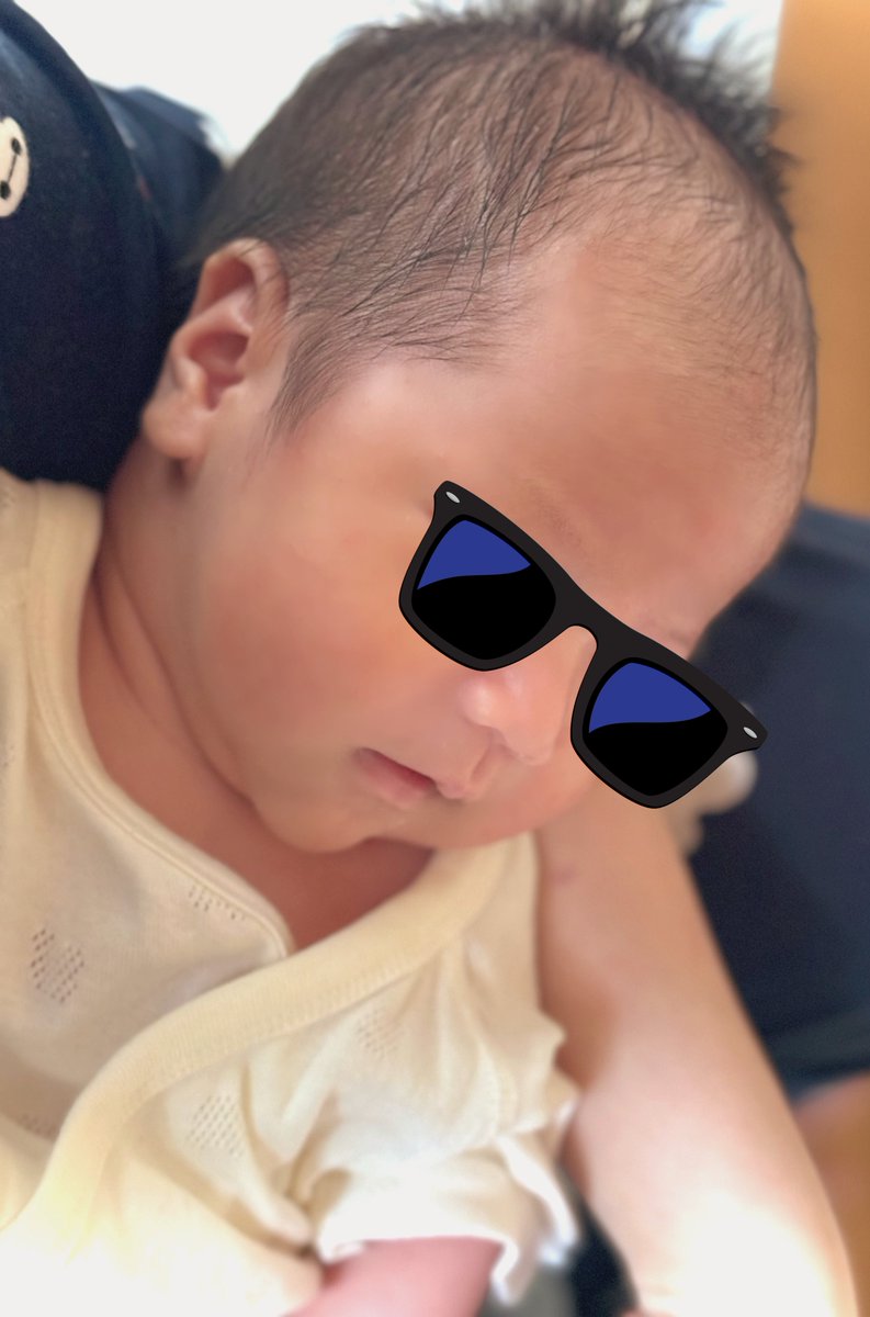 二羽からす🐦‍⬛🐦‍⬛ tweet media