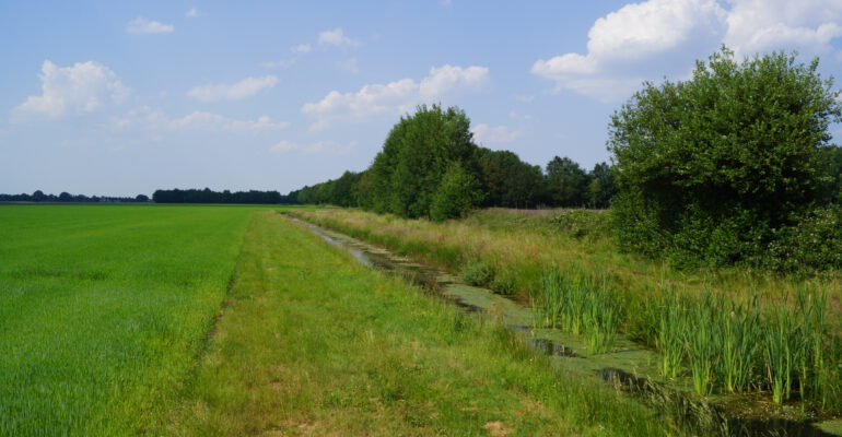 wouterkeller's tweet photo. StAF: "#Bufferstroken blijken niet te helpen bij de waterkwaliteit: ipv áfname vd #fosforconcentraties is er zelfs sprake van tóename." 

Tja, net als bij experiment op Schier: geen áfname maar tóename #stikstofconcentratie na mínder koeien..

#ecomaffia
https://t.co/N1ZASFBbuV https://t.co/fujhBdLESl