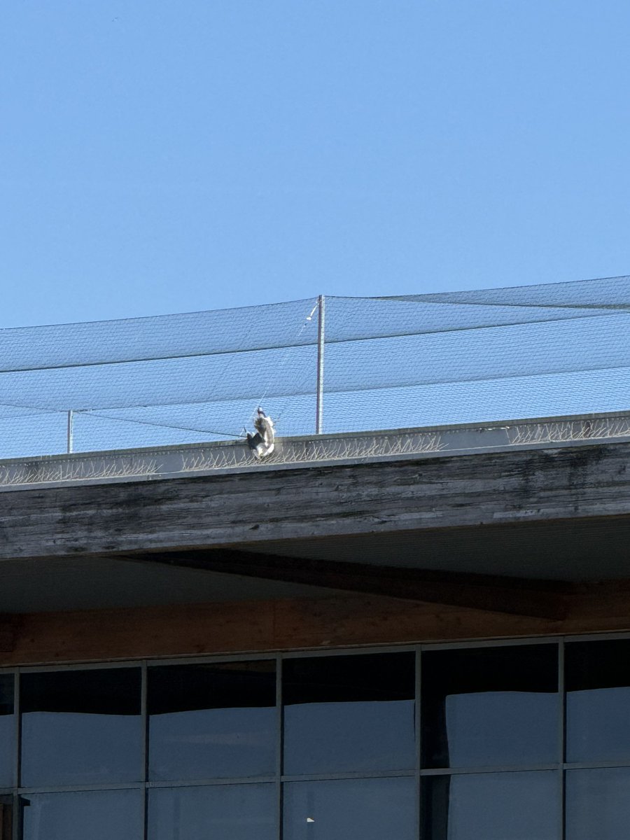 Andrew Waddison BEM tweet media