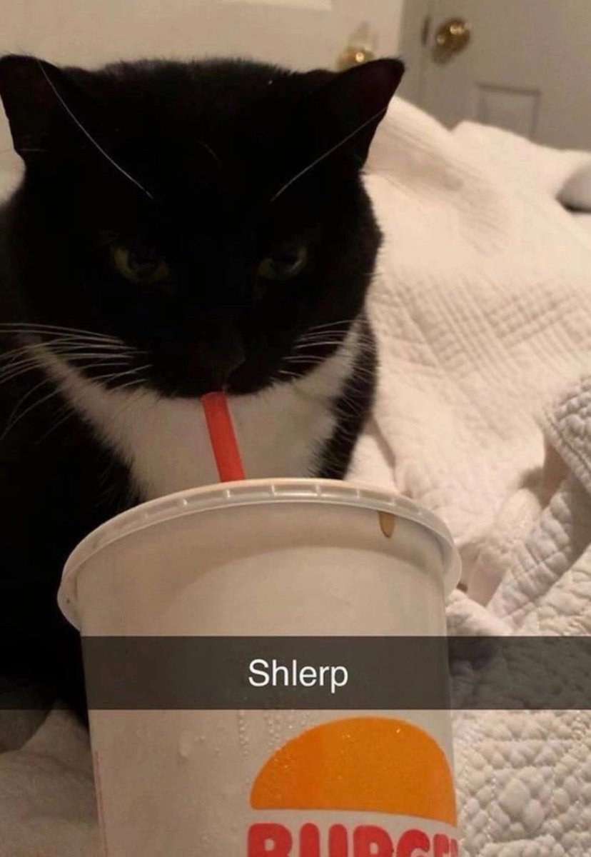 ιт'ѕ ʙᴇʙʙʟᴇs! tweet media