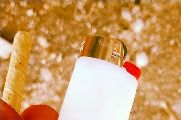 Palma mpuzzy🤓 tweet media