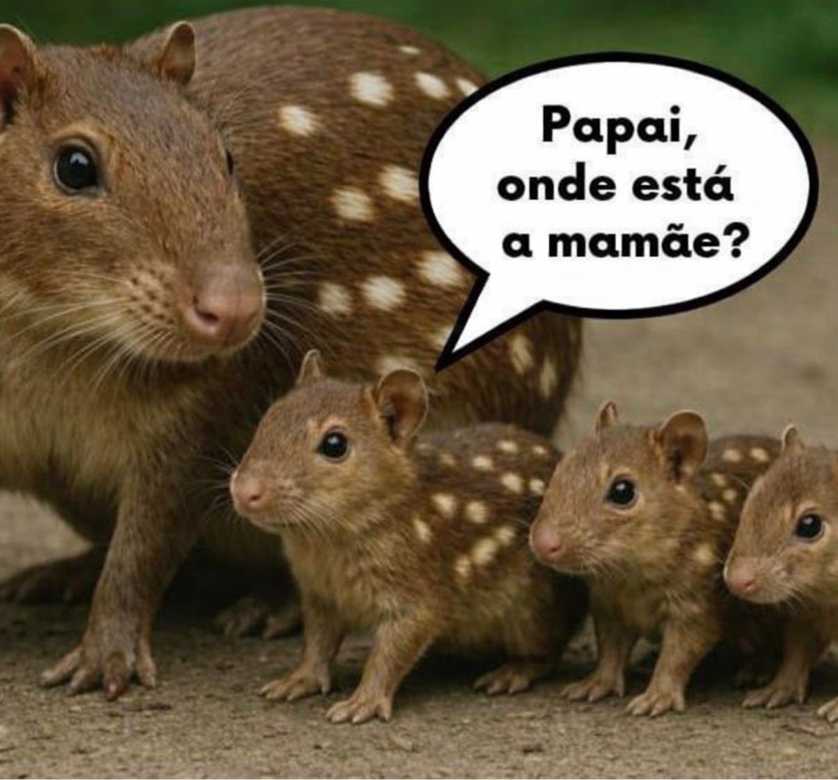 Pedro Cerize tweet media