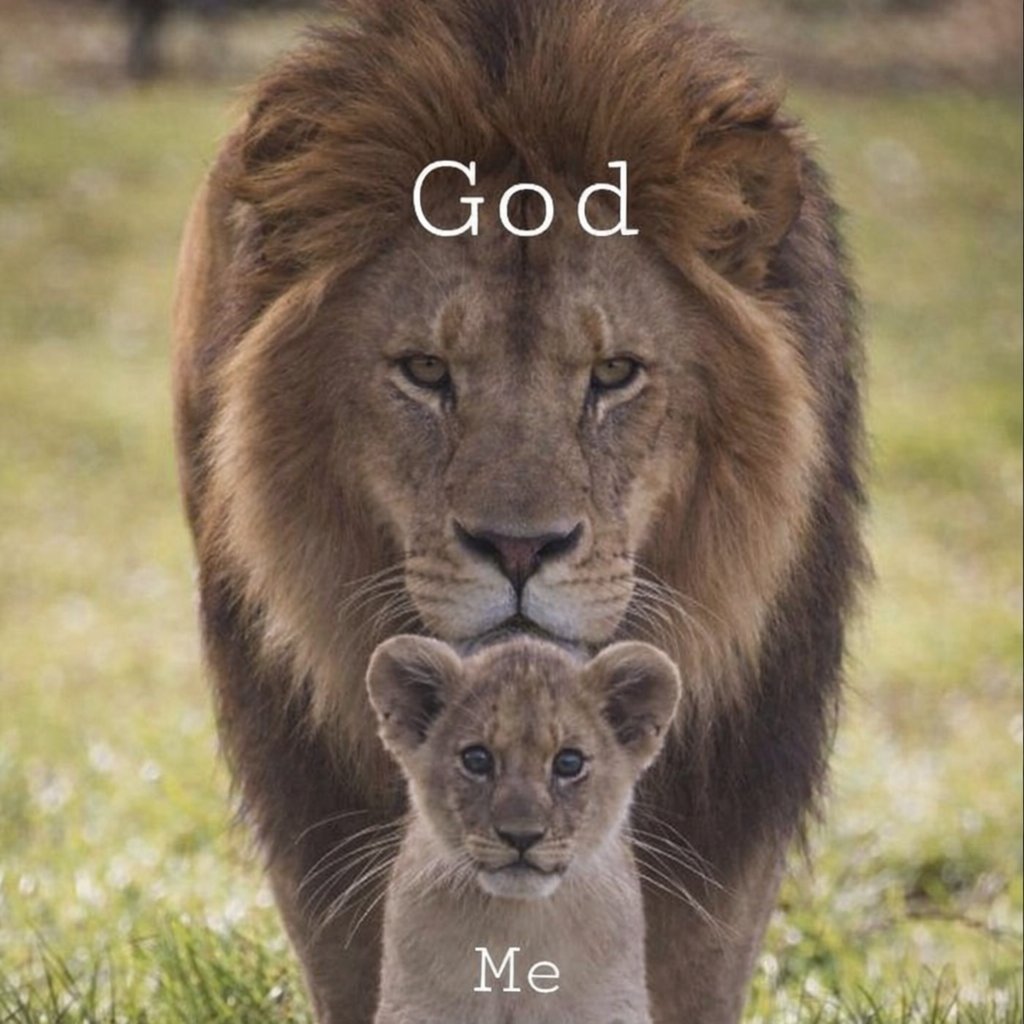 The World Watch tweet media