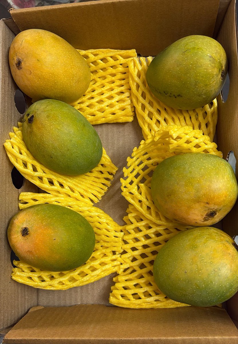adityamooley's tweet photo. @kisankonnect_in Ordered Devgad Delight Alphonso today after seeing this. And what was delivered are not Devgad Alphonso. They don't have aroma of Devgad hapus, infact no aroma at all. When called cust service, they told me from photo it "looks" fine. This is not acceptable. https://t.co/z9ocBHo6fl