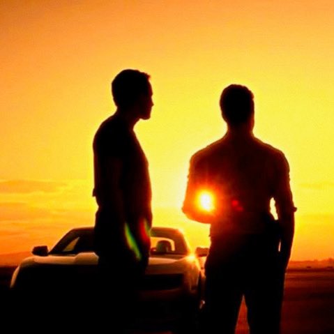 𝑺𝒕𝒆𝒗𝒆. tweet media