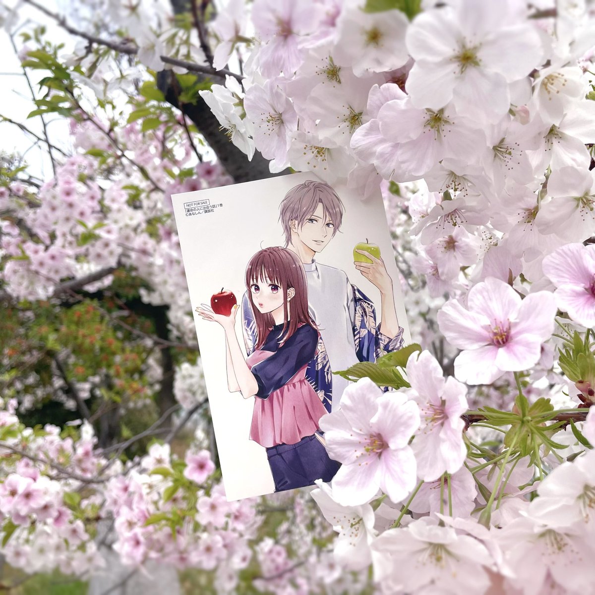 あなしん (@anashin626) / Posts and Replies / X
