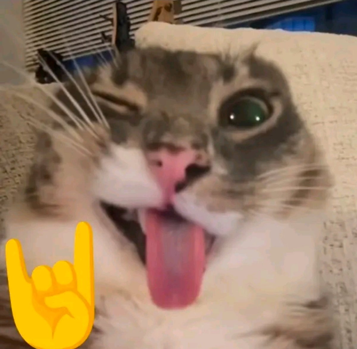 🇸🇦 أمير المدمنين 🍻 tweet media