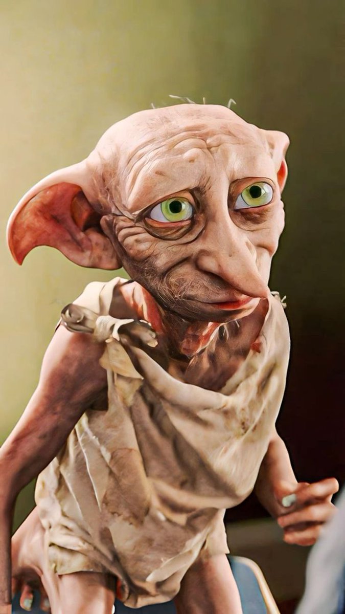 acervo dobby tweet media