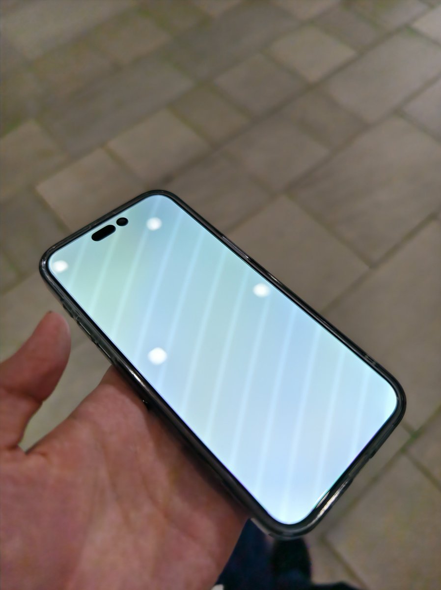 はむさんど. tweet media