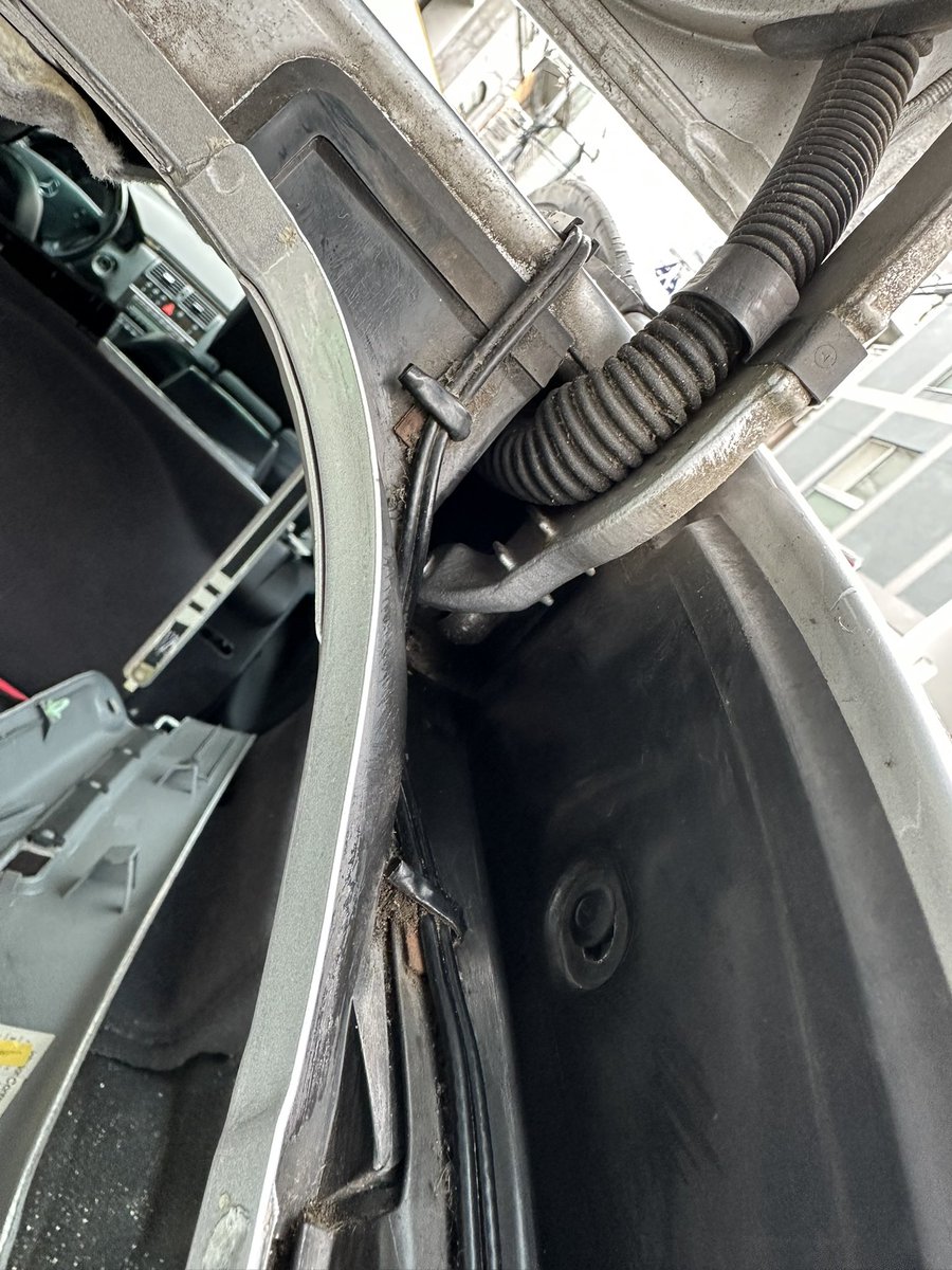 長谷川伸 tweet media