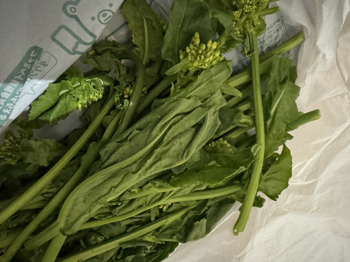 📌どらやき⑻ tweet media