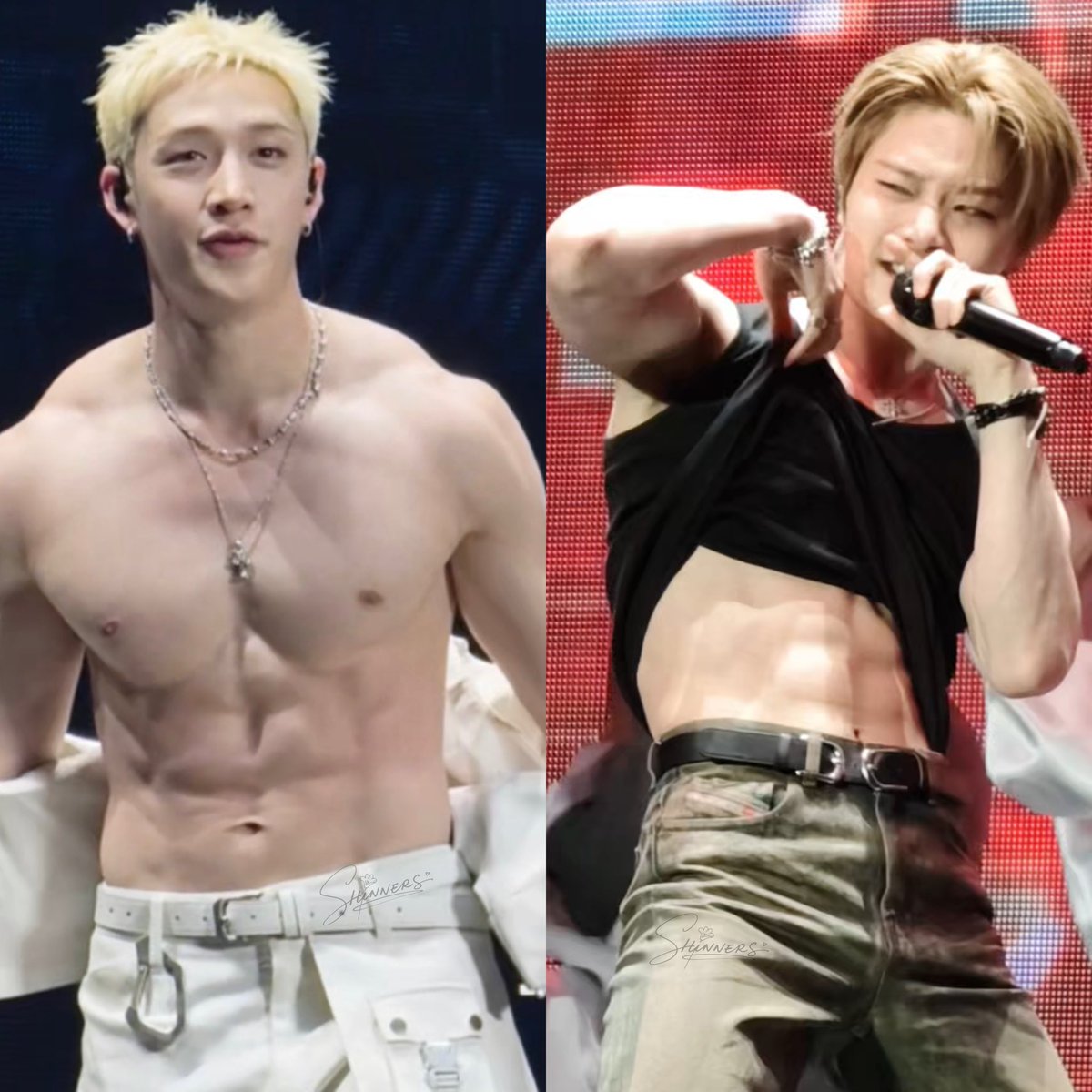 Shinners tweet media