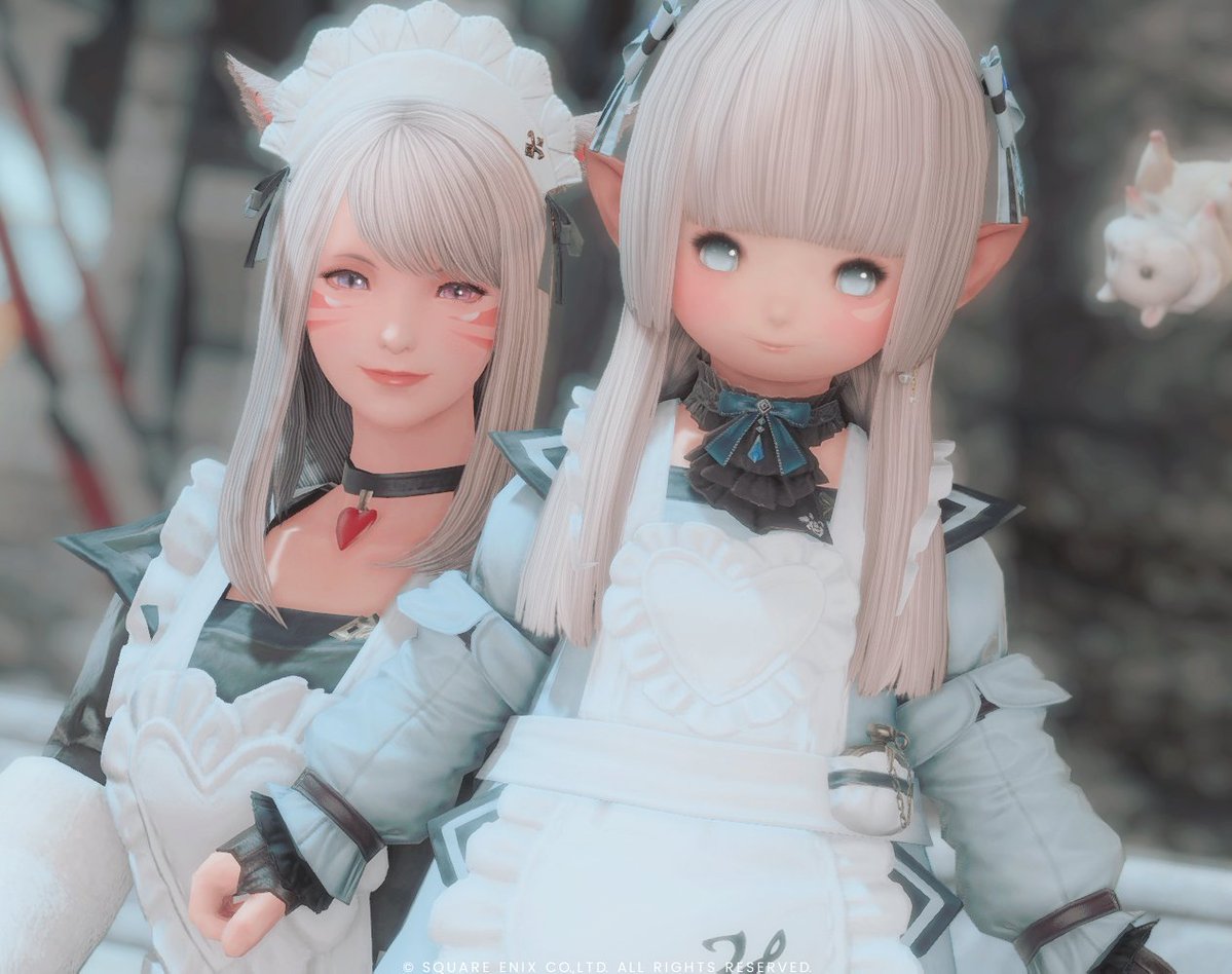 ぷにこ tweet media