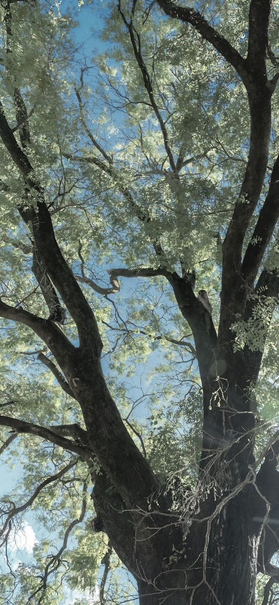 arrd_everything's tweet image. #4k