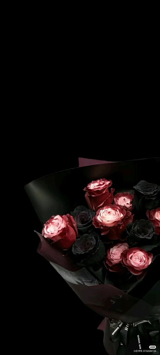 arrd_everything's tweet image. #4k