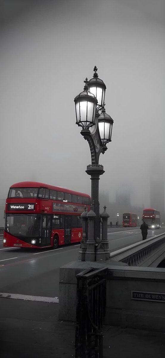 arrd_everything's tweet image. #4k