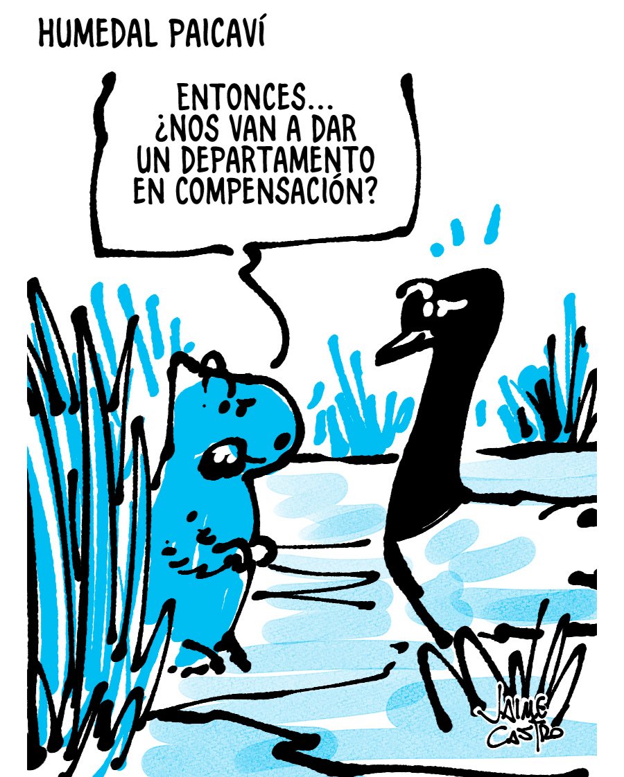 MediosUdeC's tweet photo. #Cómic "Humedal Paicaví" @jcastroley https://t.co/arPXb8YSaa