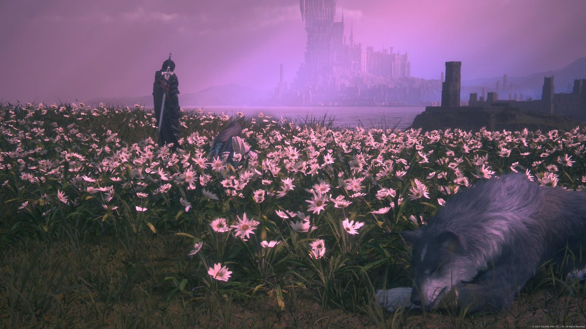 MutenGamer tweet media