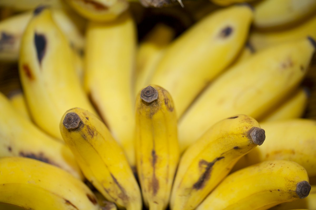 Uganda High Commission, London tweet media