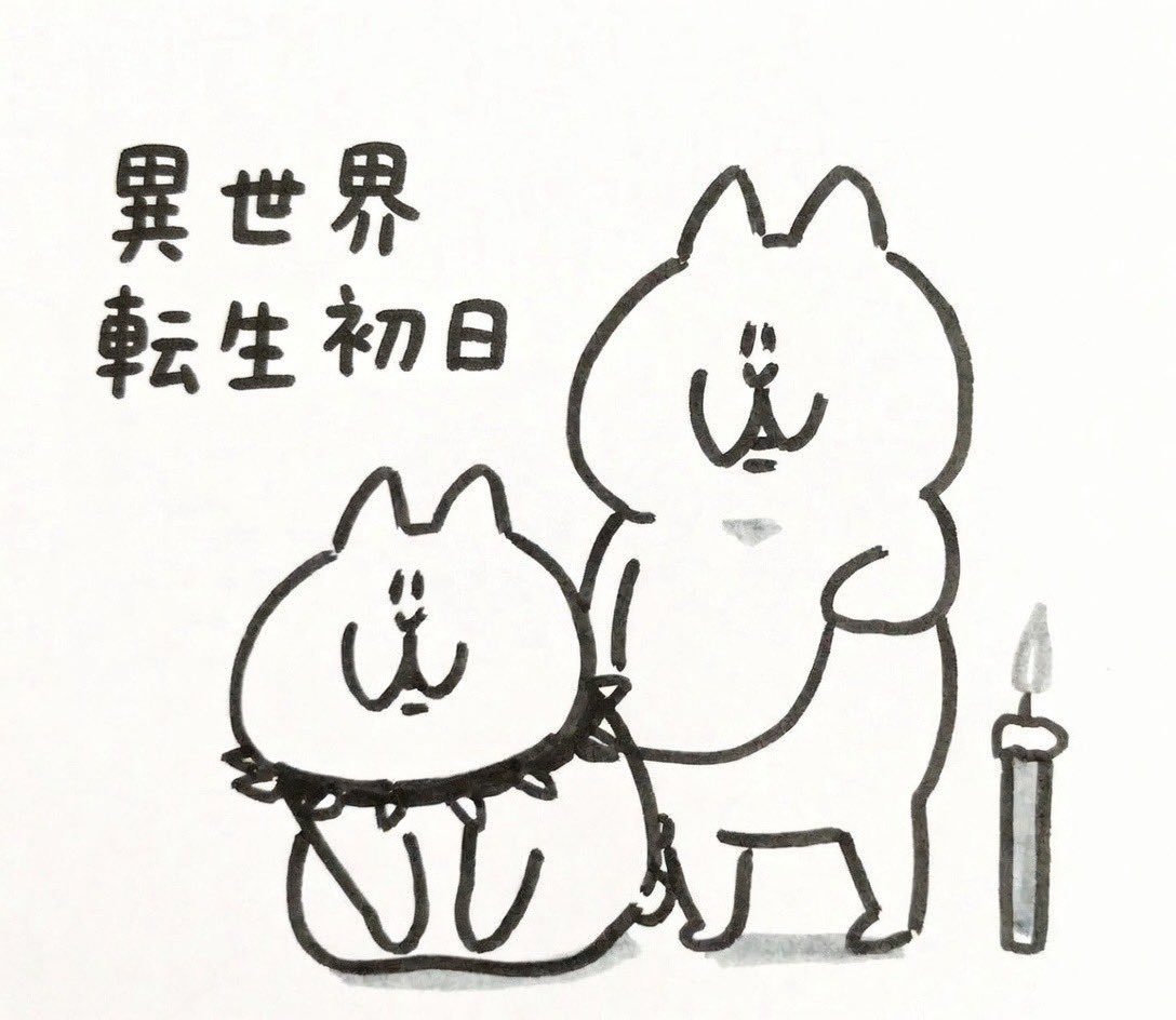 VT PROJECT with AA tweet media