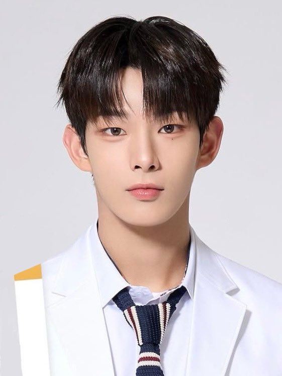 steven archive tweet media