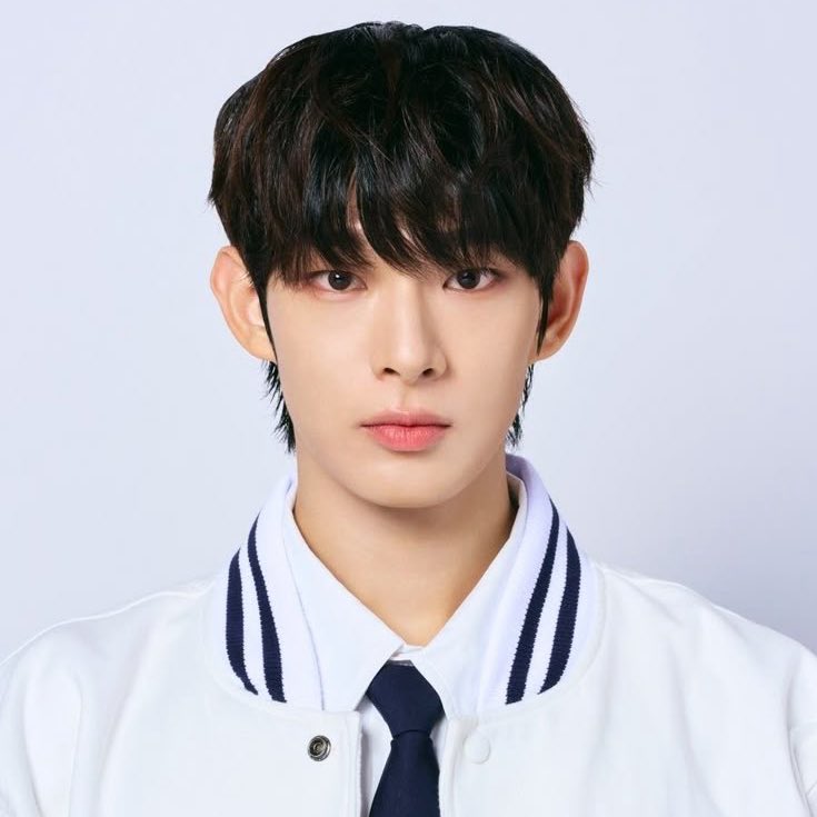 steven archive tweet media