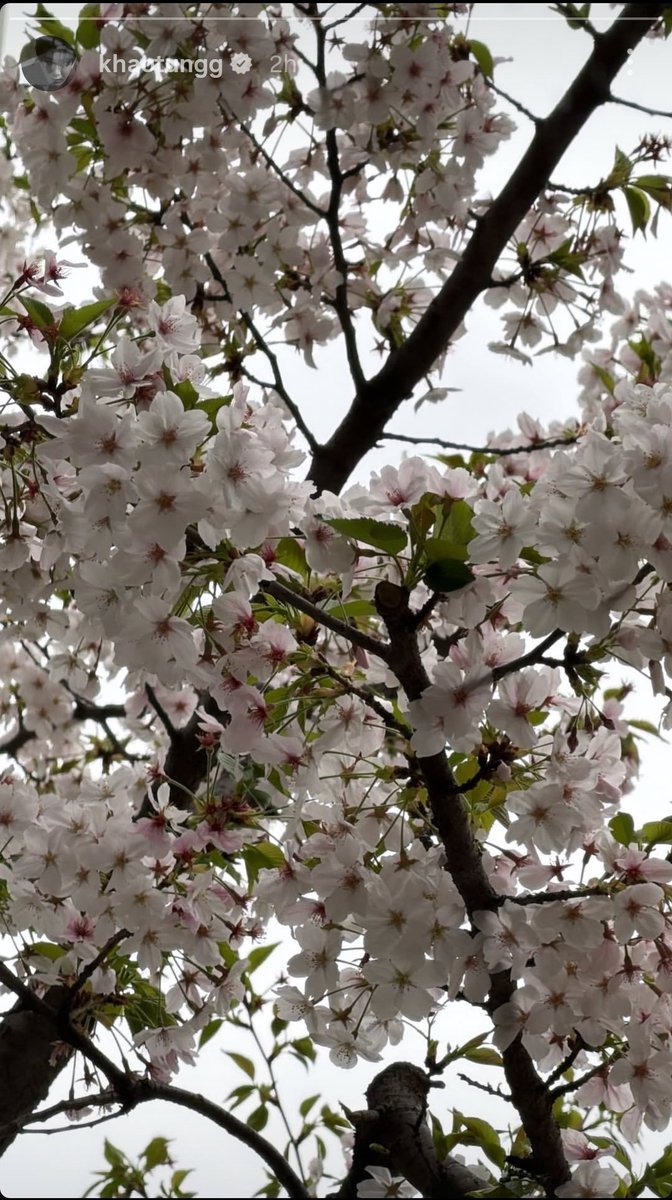 Arsh 2.0 🐉🏮 tweet media