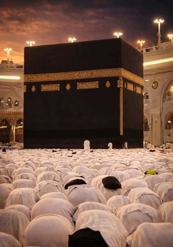 𝙊𝙣𝙖𝙞𝙨𝙖 𝘼𝙛𝙛𝙖𝙣𝙙𝙞 tweet media