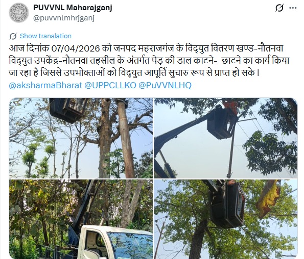 UPPCLLKO's tweet image. गुणवत्तापूर्ण एवं ट्रिपिंग-रहित बिजली आपूर्ति बनाए रखने के लिए बिजली लाइनों से संपर्क कर रही पेड़ों की शाखाओं की कटाई-छंटाई का कार्य लगातार जारी है। 
#ReliablePower #ZeroTripping 
@CMOfficeUP
 @EMofficeUP
@aksharmaBharat
@mduppcl