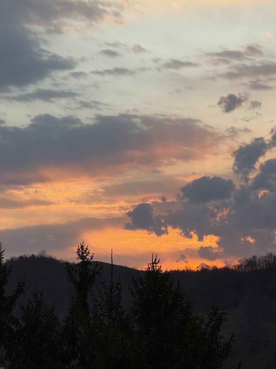 HaleyKittyyy's tweet photo. how pretty is this https://t.co/oHqnn1tCfr