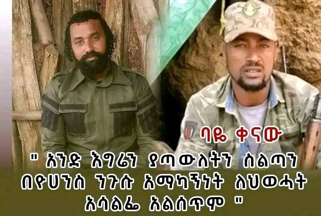 Meredit Fernandez tweet media