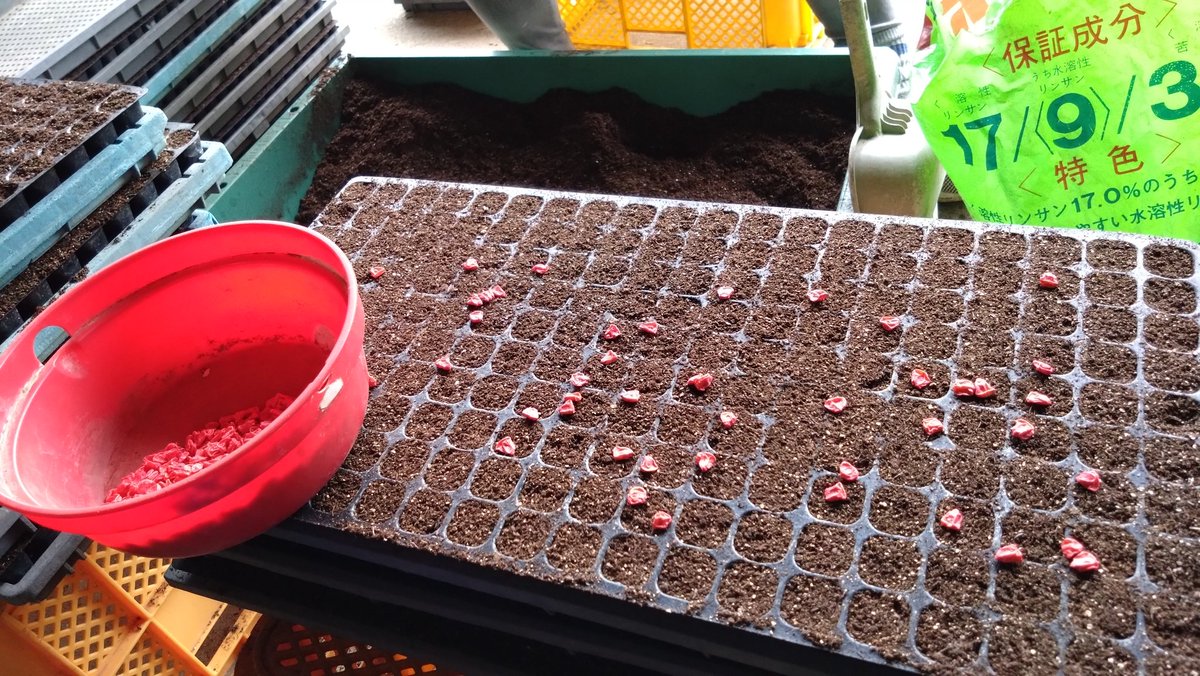 チェキ tweet media