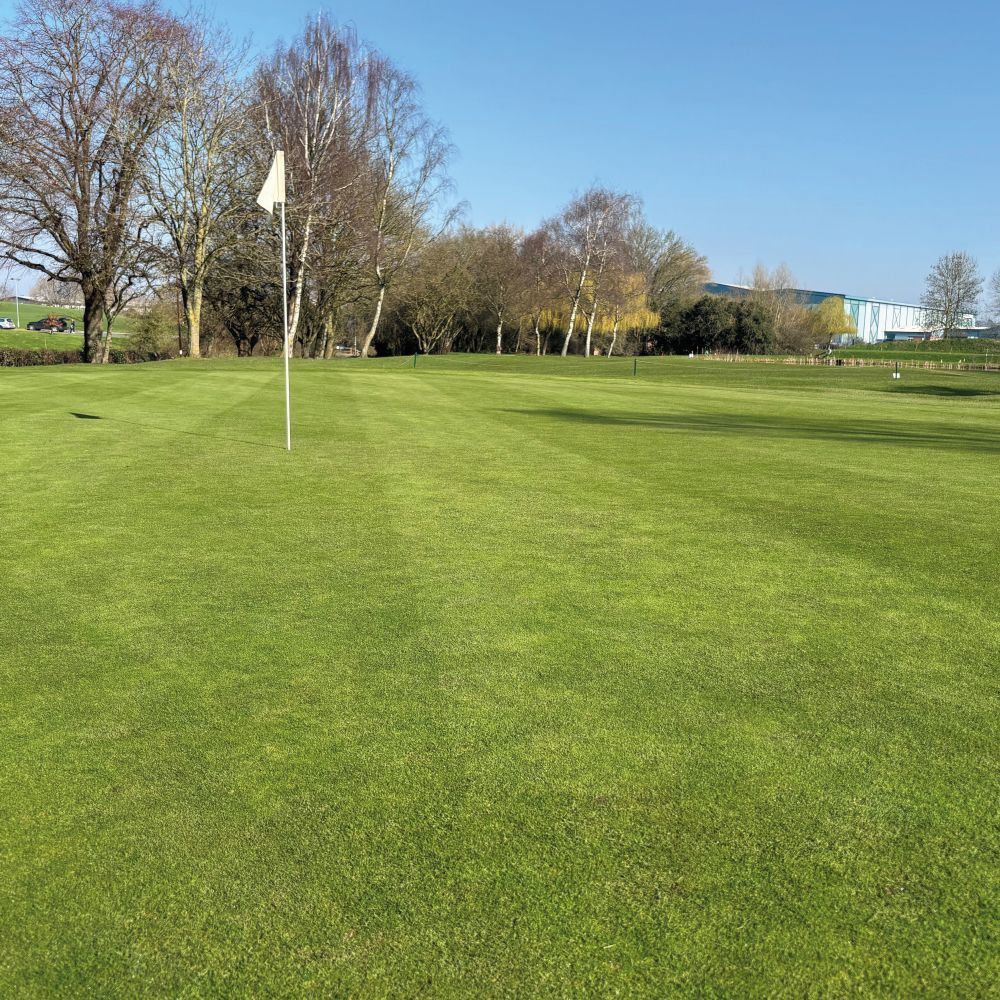 Indigrow tweet media