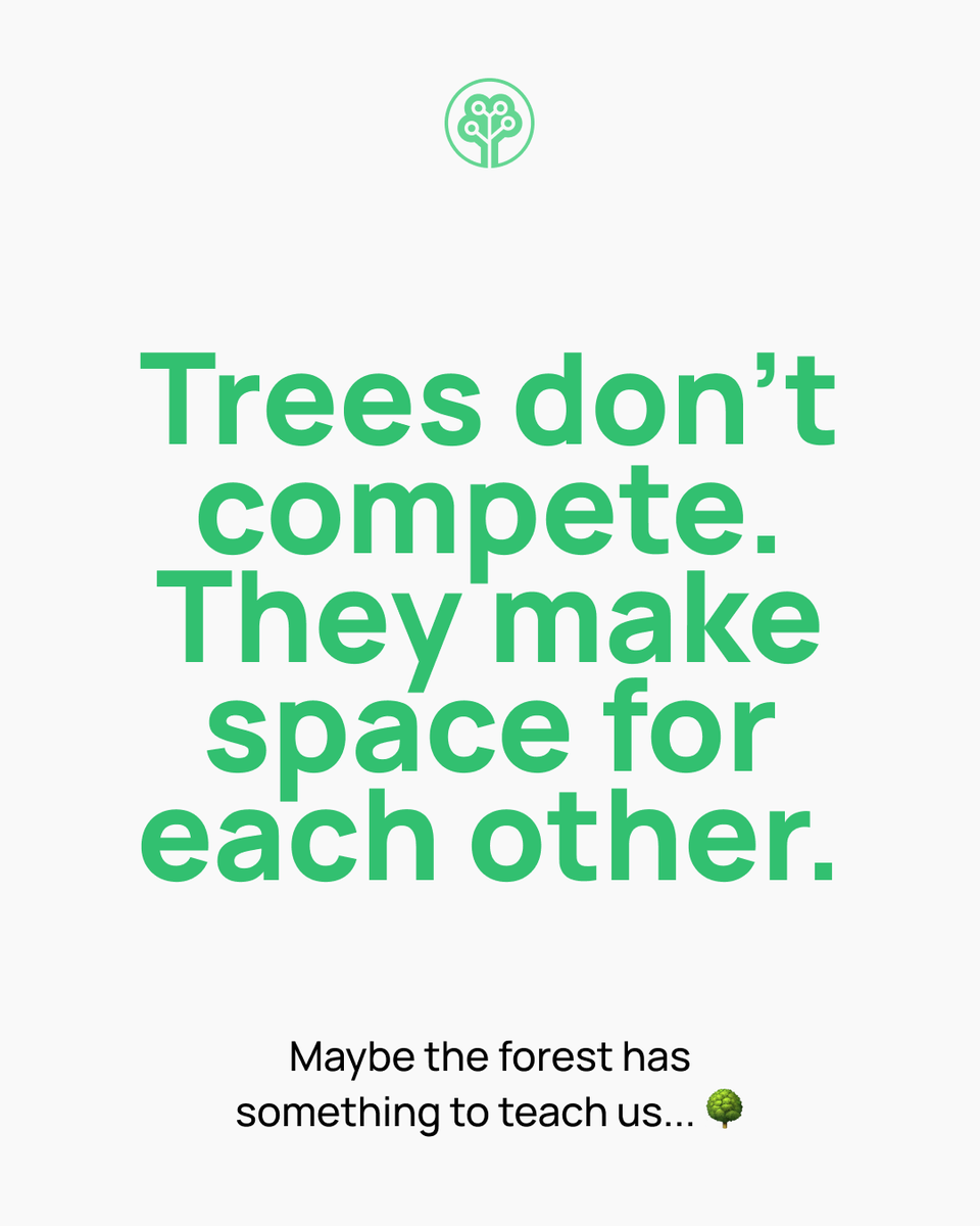 Tree-Nation tweet media