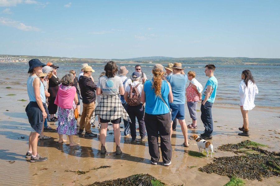 Biodiversity Ireland tweet media