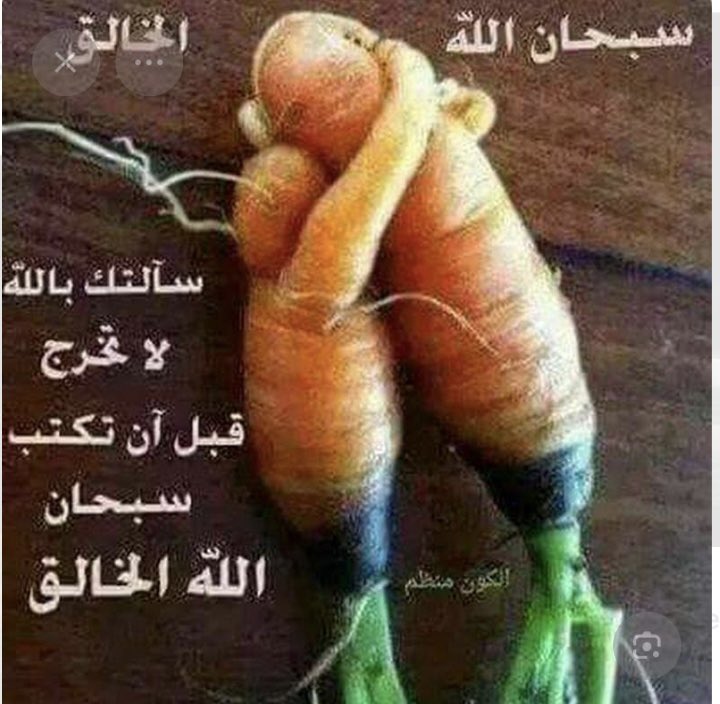 Wisam Zamout tweet media