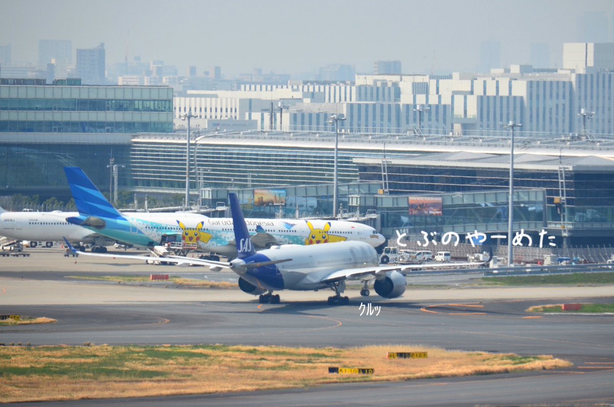 もも JALサ部員*⋆✈ tweet media