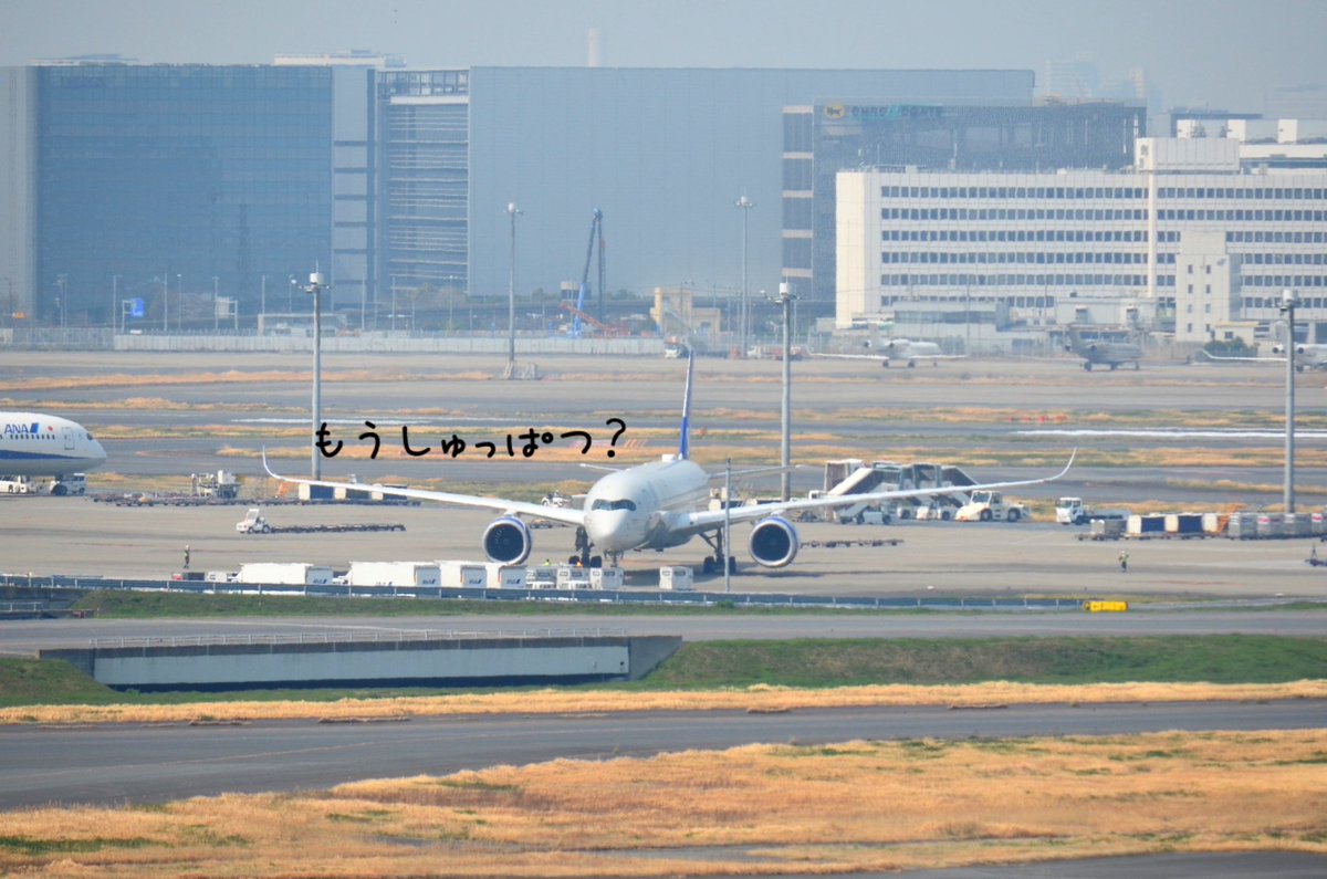 もも JALサ部員*⋆✈ tweet media