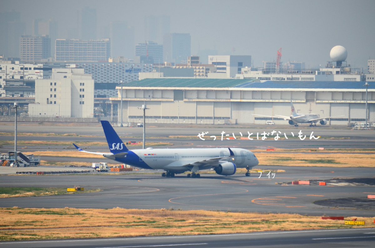 もも JALサ部員*⋆✈ tweet media