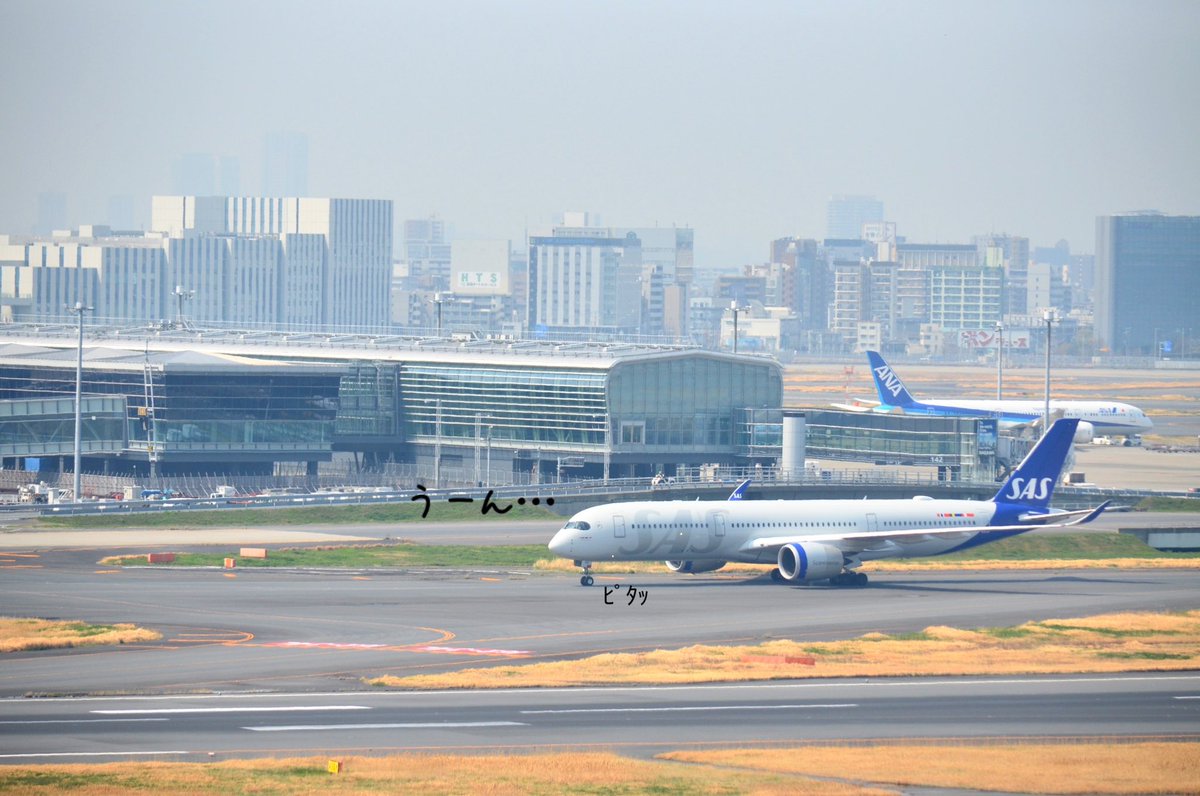 もも JALサ部員*⋆✈ tweet media