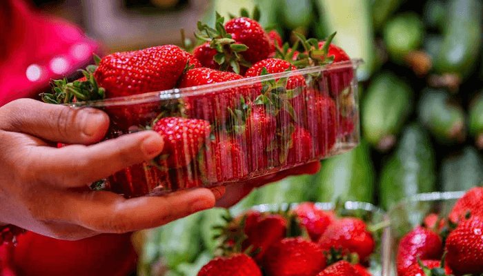 ANONYMOUS PH🇳🇬 tweet media