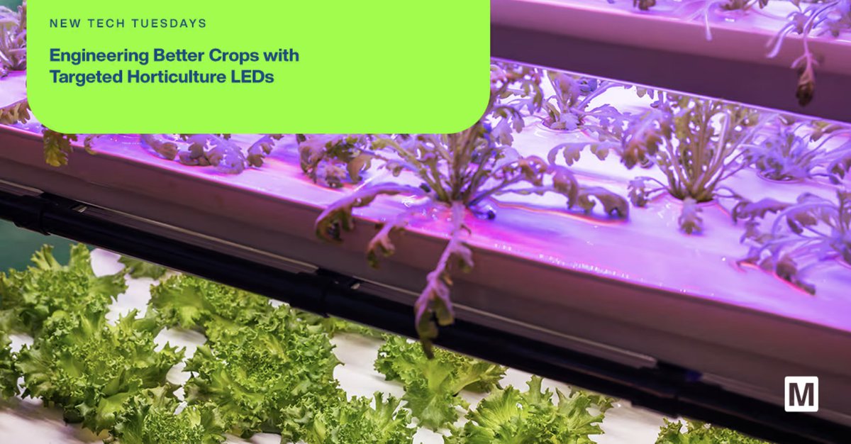 MouserElecEU's tweet image. As indoor farming grows, efficient #LED lighting drives year-round yields. 💡🌾 The next step is sensor-driven, adaptive lighting systems that optimise light dynamically for each crop and growth stage.

Learn more with our #NewTechTuesday: mou.sr/4ttnVsV