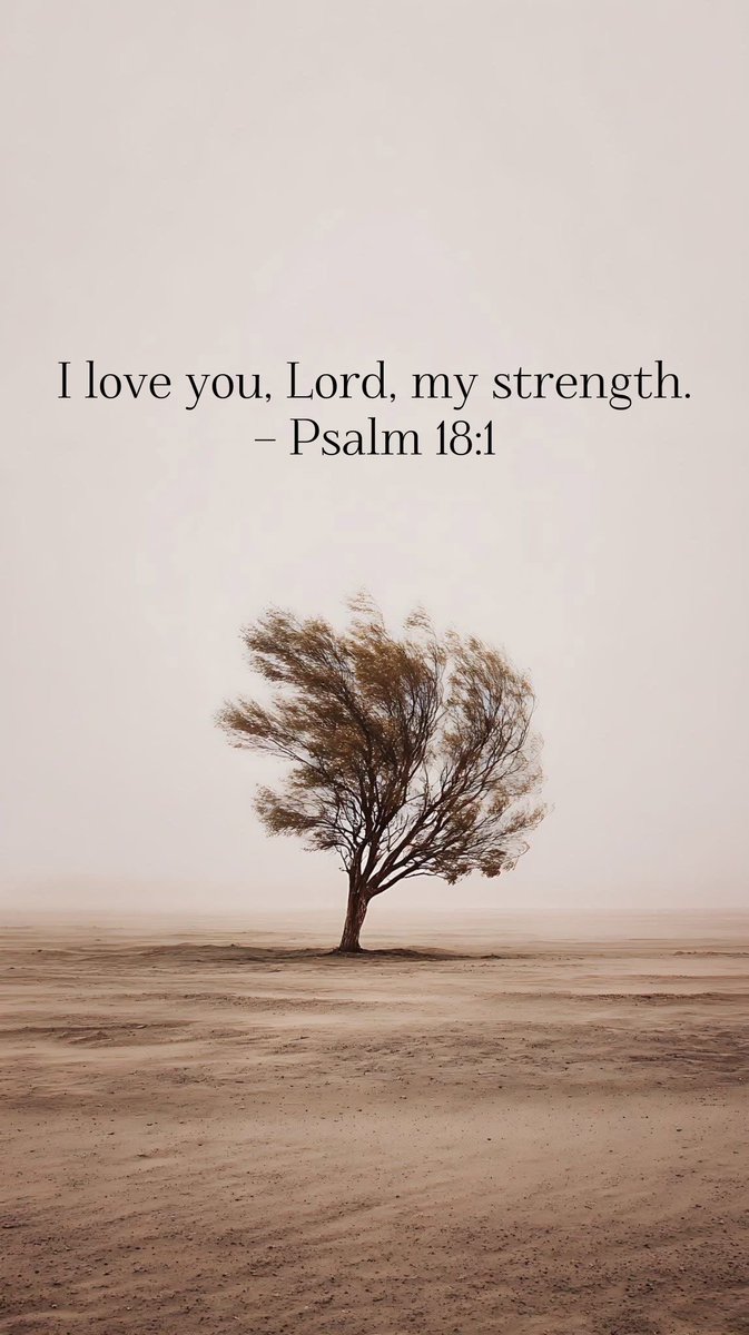 Holy Bible tweet media