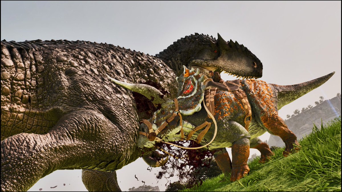 おかか tweet media