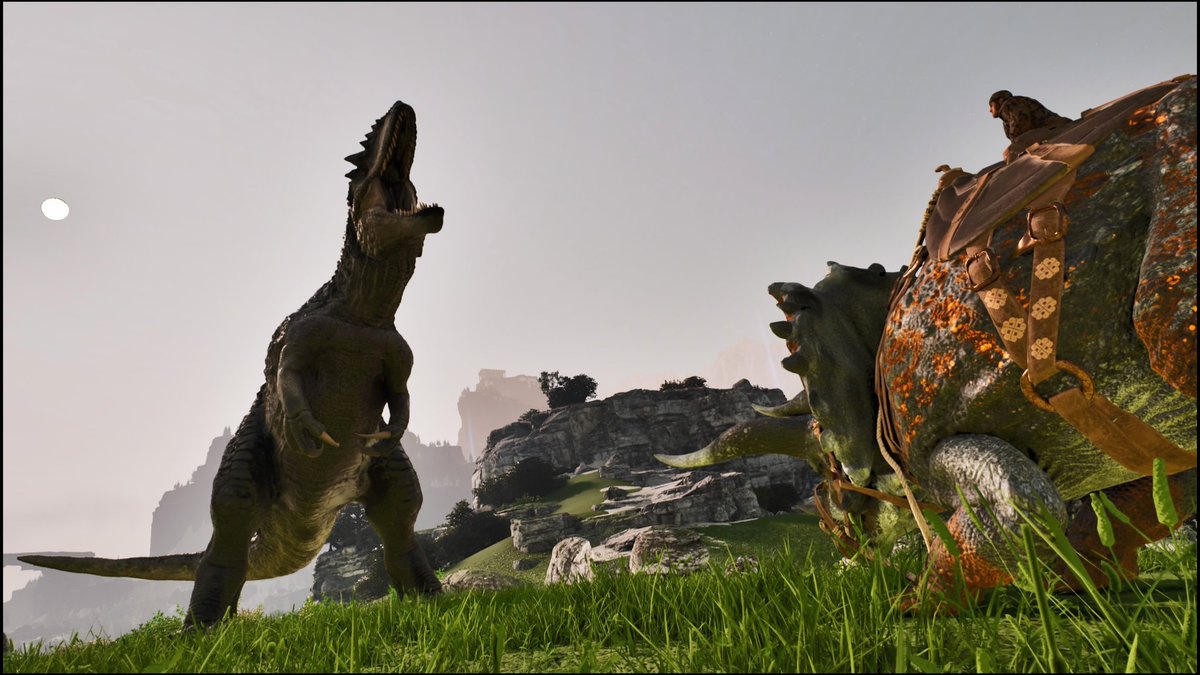 おかか tweet media