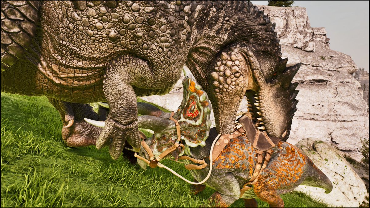 おかか tweet media