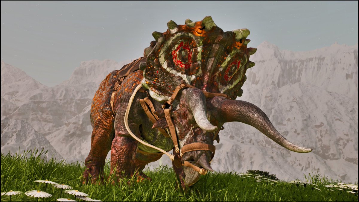 おかか tweet media