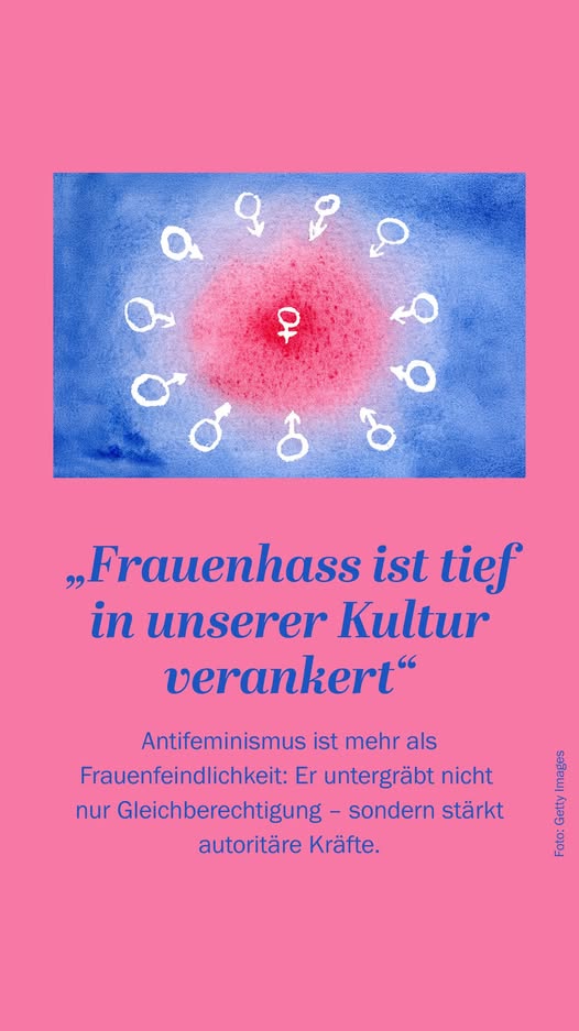 Schonungslos tweet media