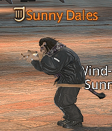 hexadamir tweet media